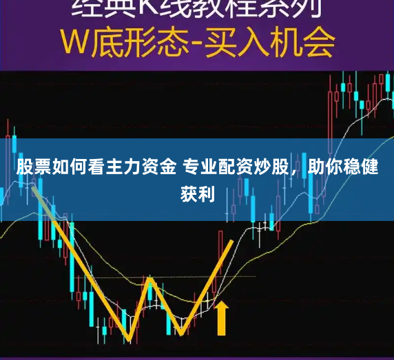 股票如何看主力资金 专业配资炒股，助你稳健获利