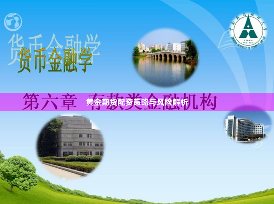黄金期货配资策略与风险解析